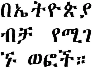 “Hyphenation” in line two with use of white space (Ethiopic)