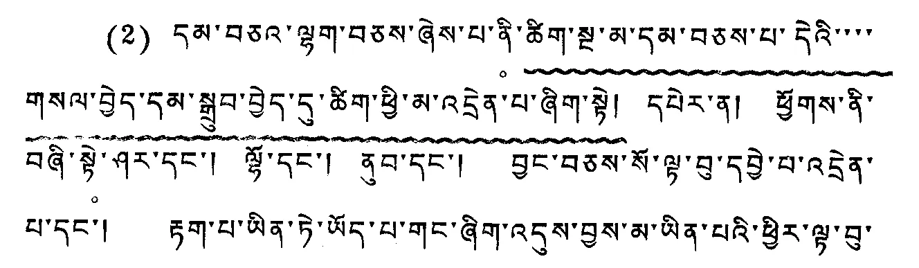 Figure 1. Wavy “underlining” with long descenders (Tibetan)
