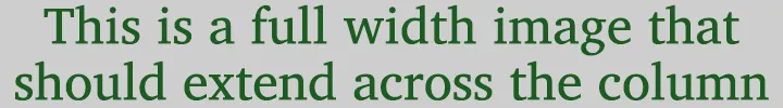 This is alt text