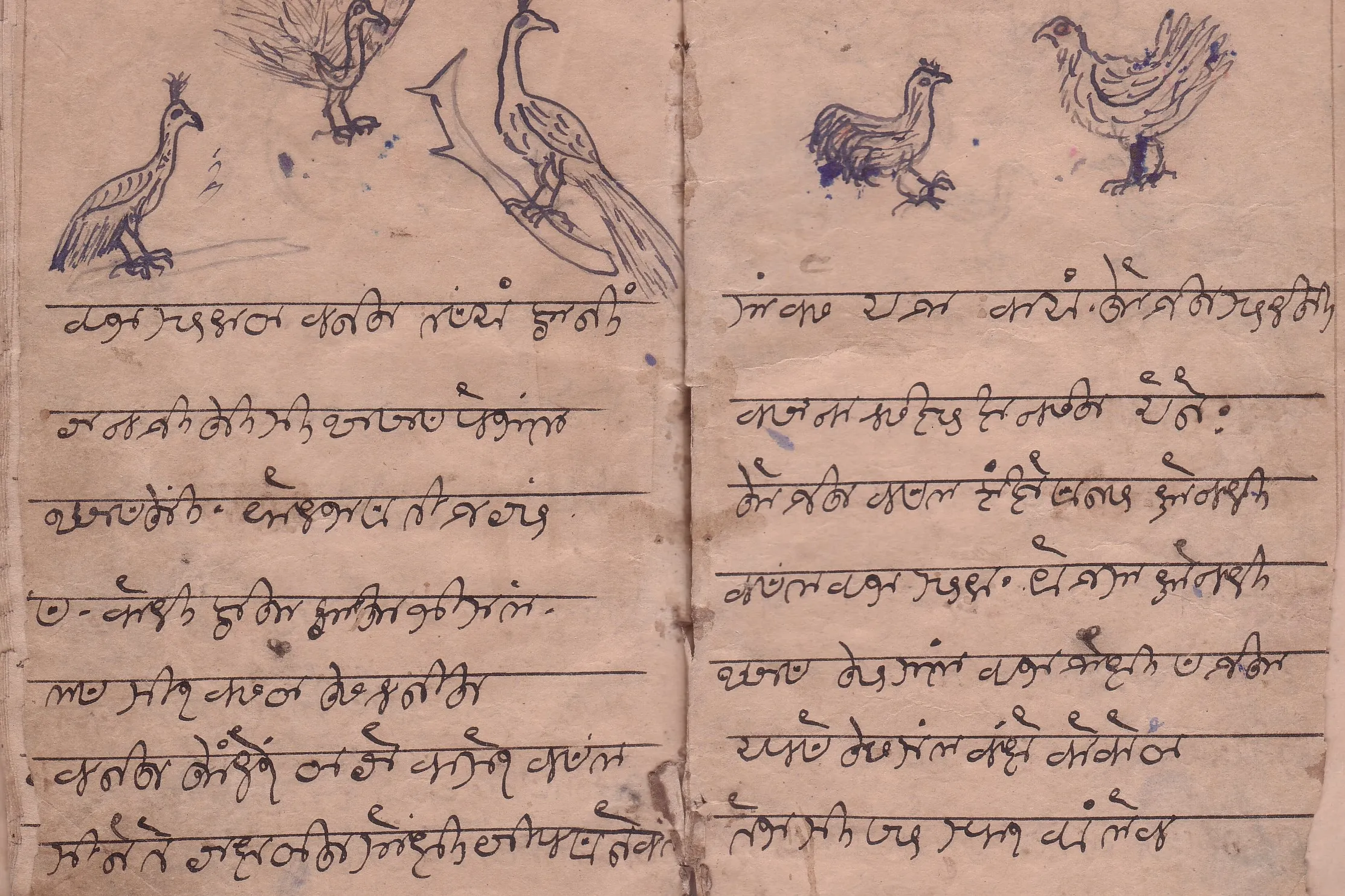 Page from handwritten primer using Gunjala Gondi script